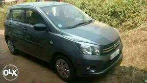  Maruti Suzuki Celerio petrol  Kms