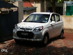 Lady using Alto 800 Lxi converted to Vxi