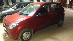 Alto 800 Lxi 3 years old
