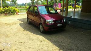 Hyundai Santro petrol  Kms  year