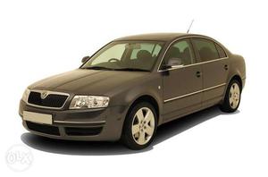 I am looking to Buy a Used Passat, Jetta or Skoda Superb in