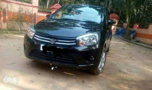 Maruti Suzuki Celerio petrol  Kms  year