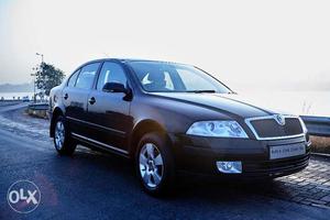 Used Skoda Laura  Ambiente 1.9 TDI