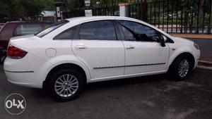 Fiat Linea  Emotion PK MJD For sale- Immaculate