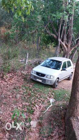 Maruti Suzuki Alto petrol  Kms  year