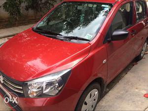  Maruti Suzuki Celerio petrol  Kms