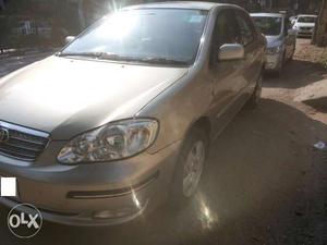 Director Owned Toyota Corolla i-VTEC, Excellent Condition