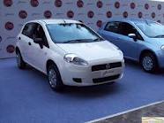 White Color Fiat Punto For Sale - Ahmedabad
