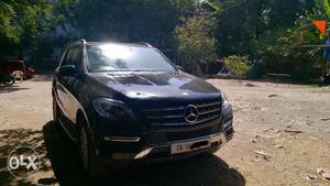 Excellent Condition Ml250 Tn10 registered