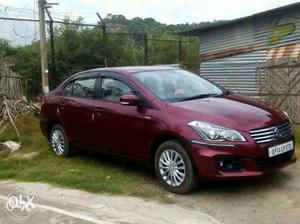 Maruti Suzuki Ciaz petrol  Kms  year