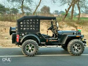 We are build all kind of jeeps and thars. Other