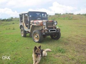 Cj3b petrol jeep for sale (Hurricane Engine) 