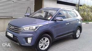 Five months old Creta for Sale