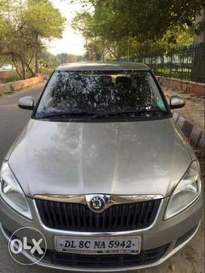  Skoda Fabia petrol  Kms