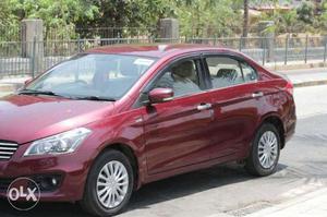 Maruti Suzuki Ciaz, , Diesel