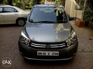 Maruti Suzuki Celerio cng  Kms  year