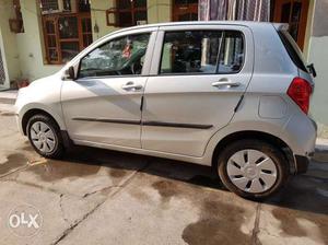 Maruti Suzuki Celerio petrol  Kms  year