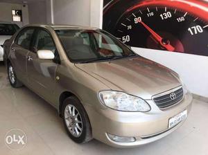 Toyota Corolla H5 1.8e, , Petrol