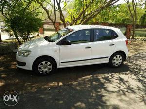 Volkswagen Polo petrol  Kms  year