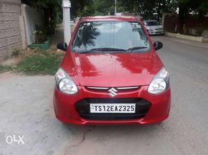 Alto 800 Lxi only  Kms  year