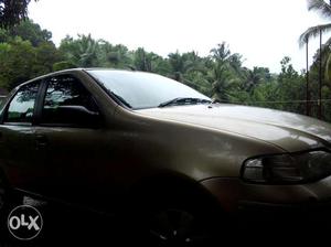 Fiat Palio petrol  Kms  year