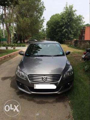 Maruti Suzuki Ciaz diesel  Kms  year