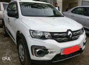 Renault Kwid petrol  Kms  year