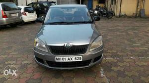  Skoda Fabia cng  Kms