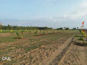 Sqare yard  only investment plots for sale