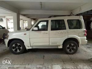 Top Model Scorpio for sell
