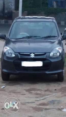 Alto 800 for sale