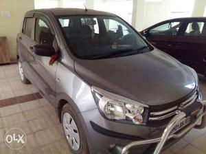  Maruti Suzuki Celerio petrol  Kms