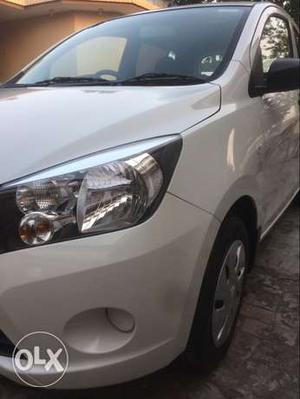 Maruti Suzuki Celerio petrol  Kms  year