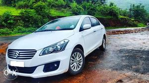 Maruti suzuki ciaz zdi shvs  for sale