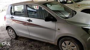  Maruti Suzuki Celerio petrol  Kms