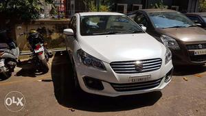 Brand New Ciaz Alpha for sale