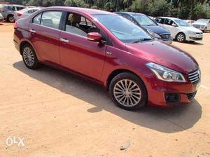 Brand new CIAZ (km only