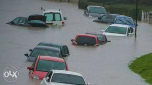 We buy flood cars any model any make contact