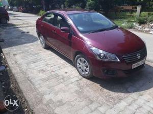 Maruti Suzuki Ciaz Vdi+ Shvs, , Diesel