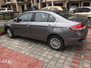 Almost Brand new Ciaz
