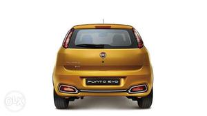 Fiat punto evo active model 15reg. diesel