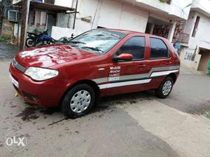 Fiat Palio Stily genuine by olny call Top and modal
