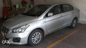 Mint condition  Maruti Suzuki Ciaz diesel  Kms