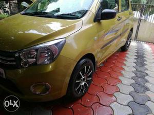 Maruti Suzuki Celerio petrol  Kms  year