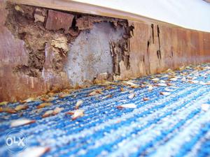 ചിതൽ* Termite control new and old HOME Termite