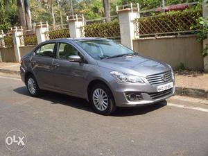 Maruti Ciaz Delta, Automatic,petrol,only Driven kms With