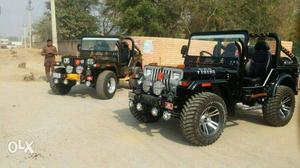 Mahindra Others diesel 254 Kms  year