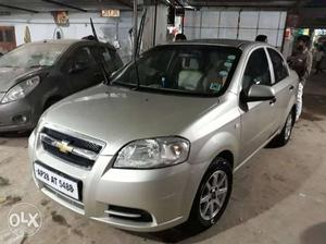  Chevrolet Aveo petrol  Kms