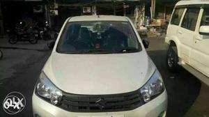 Maruti Suzuki Celerio petrol  Kms  year