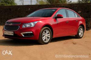 Wanted Chevrolet Cruze (only Direct Sales, no Brokers)